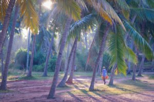 Pêcheurs en Inde du Sud à Varkala